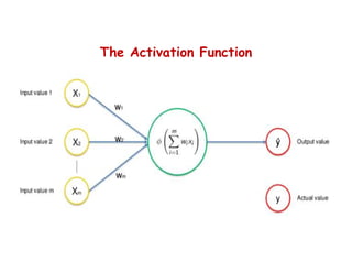 The Activation Function
 