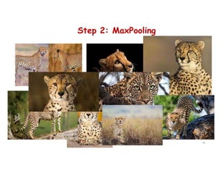 Step 2: MaxPooling
70
 