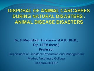 Dr. S. Meenakshi Sundaram, M.V.Sc, Ph.D.,
Dip. LTFM (Israel)
Professor
Department of Livestock Production and Management
Madras Veterinary College
Chennai-600007
 