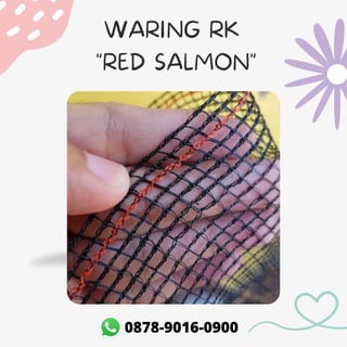 Waring Red Salmon