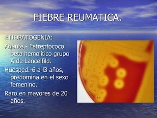 FIEBRE REUMATICA.
ETIOPATOGENIA:
Agente.- Estreptococo
beta hemolítico grupo
A de Lancelfild.
Huesped.-6 a l3 años,
predomina en el sexo
femenino.
Raro en mayores de 20
años.
 