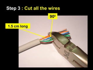900
1.5 cm long
Step 3 : Cut all the wires
 