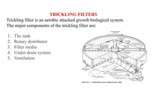 TRICKLING FILTERS
Trickling filter is an aerobic attached growth biological system.
The major components of the trickling filter are:
1. The tank
2. Rotary distributor
3. Filter media
4. Under drain system
5. Ventilation
 