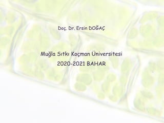 Doç. Dr. Ersin DOĞAÇ
Muğla Sıtkı Koçman Üniversitesi
2020-2021 BAHAR
 