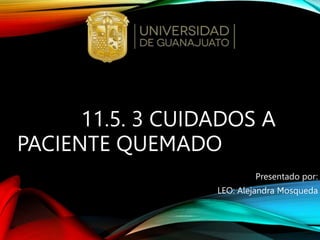 11.5. 3 CUIDADOS A
PACIENTE QUEMADO
Presentado por:
LEO: Alejandra Mosqueda
 
