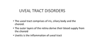 UVEAL TRACT DISORDERS
• The uveal tract comprises of iris, ciliary body and the
choroid.
• The outer layers of the retina derive their blood supply from
the choroid
• Uveitis is the inflammation of uveal tract
 