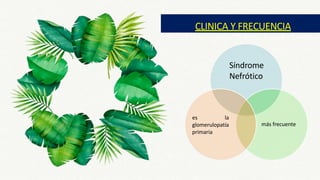 CLINICA Y FRECUENCIA
Síndrome
Nefrótico
más frecuente
es la
glomerulopatía
primaria
 