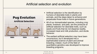 8. EVIDENCE FOR EVOLUTION.pptx