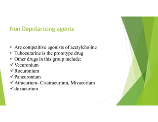 Non Depolarizing agents
• Are competitive agonists of acetylcholine
• Tubocurarine is the prototype drug
• Other drugs in this group include:
Vecuronium
Rocuronium
Pancuronium
Atracurium- Cisatracurium, Mivacurium
doxacurium
 