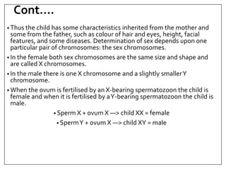Cont….
• Thus the child has some characteristics inherited from the mother and
some from the father, such as colour of hair and eyes, height, facial
features, and some diseases. Determination of sex depends upon one
particular pair of chromosomes: the sex chromosomes.
• In the female both sex chromosomes are the same size and shape and
are called X chromosomes.
• In the male there is one X chromosome and a slightly smallerY
chromosome.
• When the ovum is fertilised by an X-bearing spermatozoon the child is
female and when it is fertilised by aY-bearing spermatozoon the child is
male.
• Sperm X + ovum X —> child XX = female
• SpermY + ovum X —> child XY = male
 