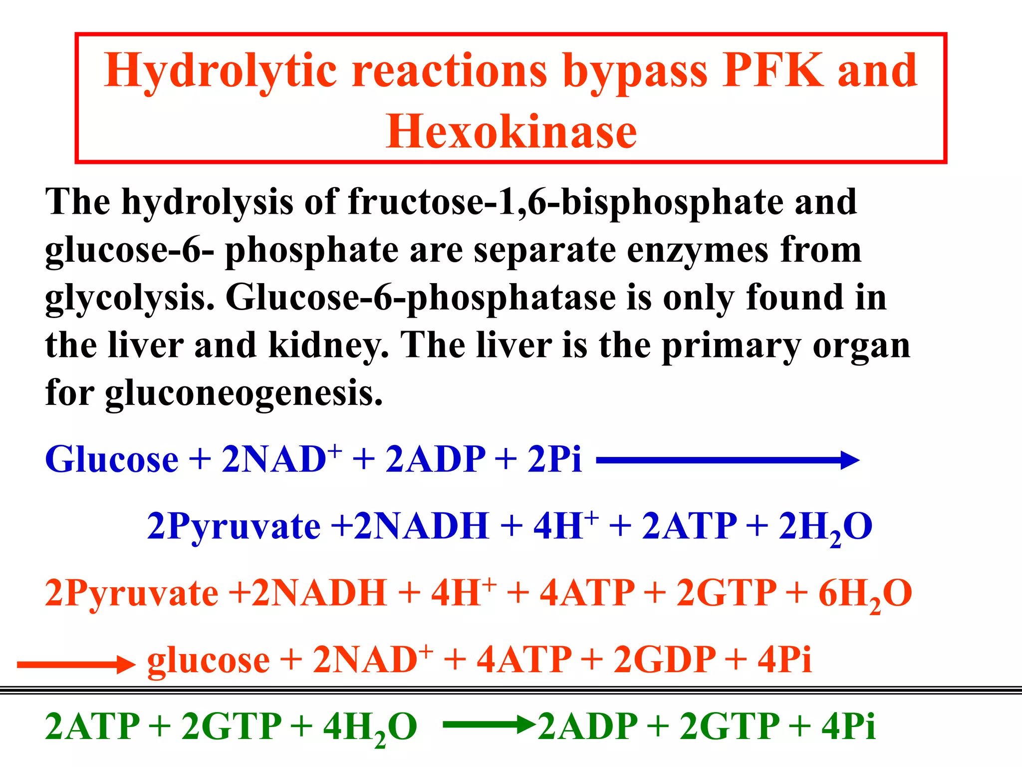 8. Gluconeogenesis, Glycogenosis glycogen synthesis and cori cycle ...
