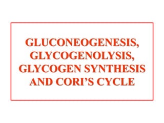GLUCONEOGENESIS,
GLYCOGENOLYSIS,
GLYCOGEN SYNTHESIS
AND CORI’S CYCLE
 