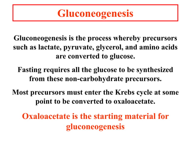 8. Gluconeogenesis, Glycogenosis glycogen synthesis and cori cycle ...