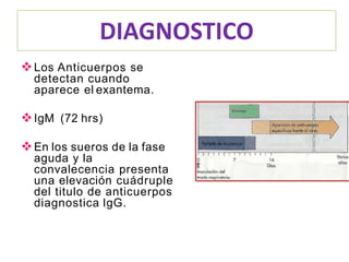 DIAGNOSTICO
Los Anticuerpos se
detectan cuando
aparece el exantema.
IgM (72 hrs)
En los sueros de la fase
aguda y la
convalecencia presenta
una elevación cuádruple
del titulo de anticuerpos
diagnostica IgG.
 