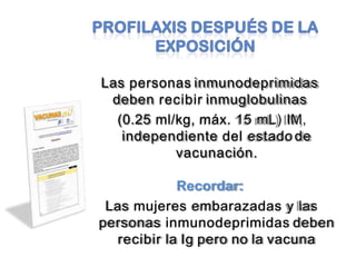 Las personas inmunodeprimidas
deben recibir inmuglobulinas
(0.25 ml/kg, máx. 15 mL) IM,
independiente del estadode
vacunación.
Recordar:
Las mujeres embarazadas y las
personas inmunodeprimidas deben
recibir la Ig pero no la vacuna
 