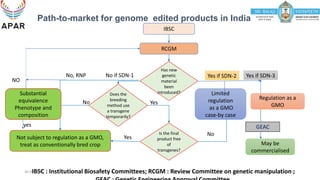Rcgm Guidelines.pdf 8. Dr Rao.pdf
