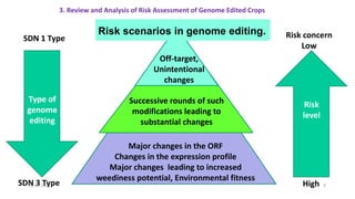 Off-target,
Unintentional
changes
Successive rounds of such
modifications leading to
substantial changes
Major changes in the ORF
Changes in the expression profile
Major changes leading to increased
weediness potential, Environmental fitness
Type of
genome
editing
Risk
level
SDN 1 Type
SDN 3 Type
Risk concern
Low
High
Risk scenarios in genome editing.
3. Review and Analysis of Risk Assessment of Genome Edited Crops
30-09-2023 9
 