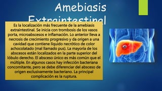 Amebiasis
Extraintestinal
Es la localización más frecuente de la amebiasis
extraintestinal. Se inicia con trombosis de los vasos
porta, microabscesos e inflamación. Lo anterior lleva a
necrosis de crecimiento progresivo y da origen a una
cavidad que contiene líquido necrótico de color
achocolatado (mal llamado pus). La mayoría de los
abscesos están localizados en la parte superior del
lóbulo derecho. El absceso único es más común que el
múltiple. En algunos casos hay infección bacteriana
concomitante, pero se debe diferenciar del absceso de
origen exclusivamente bacteriano. La principal
complicación es la ruptura.
 