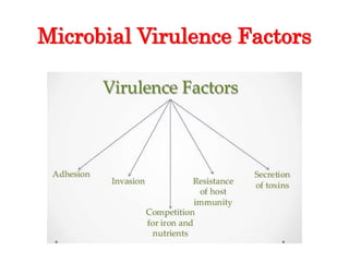 Microbial Virulence Factors
 
