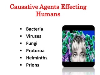 Causative Agents Effecting
Humans
 Bacteria
 Viruses
 Fungi
 Protozoa
 Helminths
 Prions
11
 