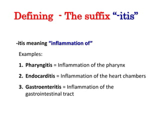 Defining - The suffix “-itis”
-itis meaning “inflammation of”
Examples:
1. Pharyngitis = Inflammation of the pharynx
2. Endocarditis = Inflammation of the heart chambers
3. Gastroenteritis = Inflammation of the
gastrointestinal tract
 