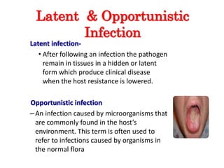 Latent & Opportunistic
Infection
Latent infection-
• After following an infection the pathogen
remain in tissues in a hidden or latent
form which produce clinical disease
when the host resistance is lowered.
Opportunistic infection
–An infection caused by microorganisms that
are commonly found in the host’s
environment. This term is often used to
refer to infections caused by organisms in
the normal flora
 