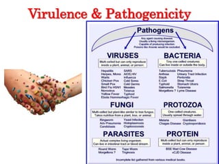 Virulence & Pathogenicity
 
