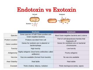 Endotoxin vs Exotoxin
 