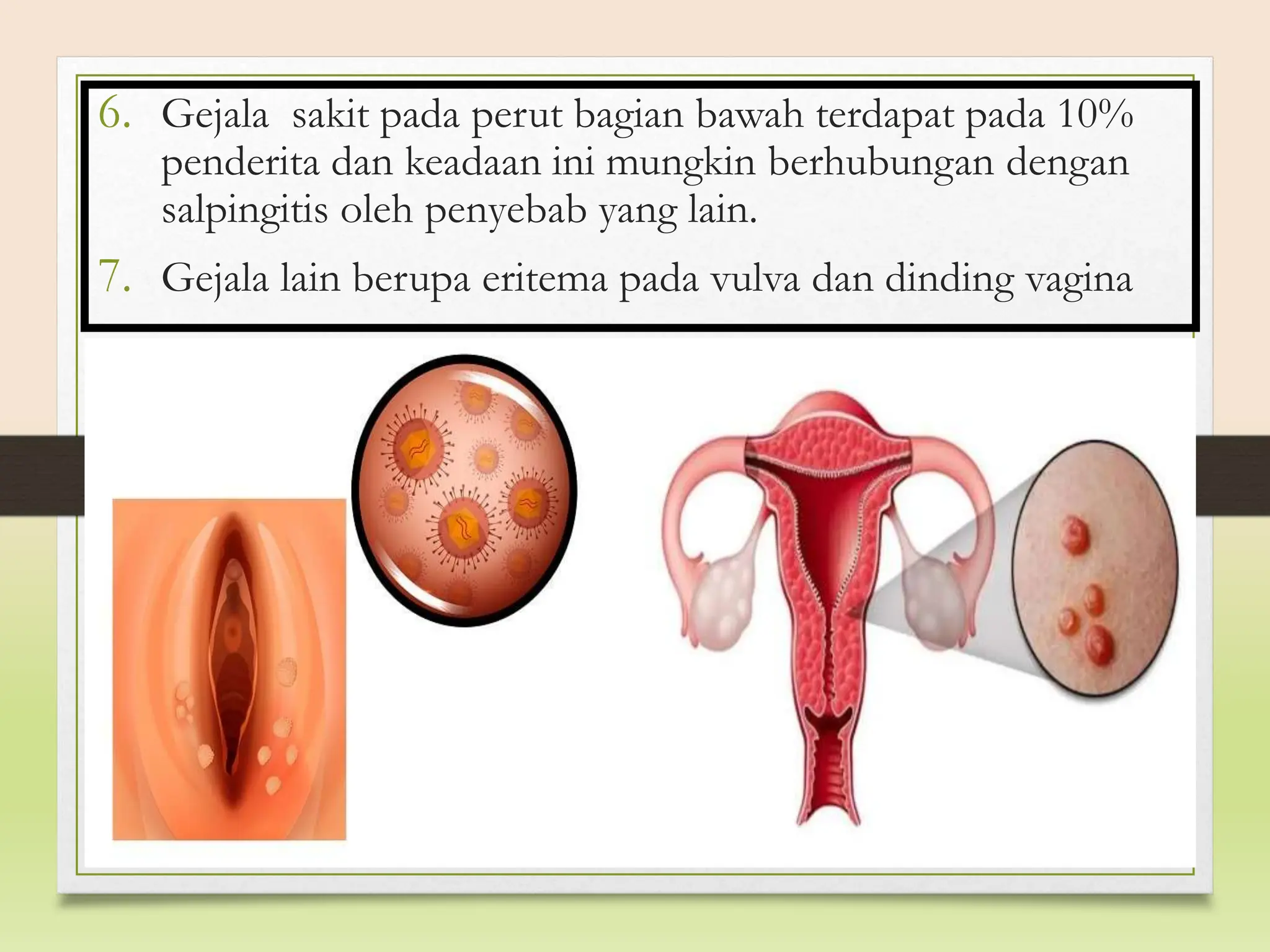 Dom 2 da jinsiy aloqa video