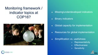 8. KM-GBF indicators from an ecologist’s point of view - Joachim Topper ...