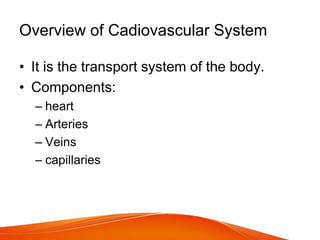 CAPILLARIES FUNCTION IN CARDIOVASCULAR SYSTEM visual data 8