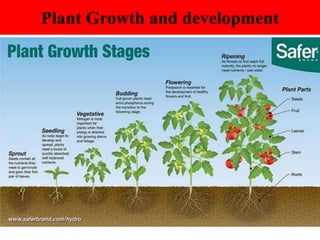 Plant Growth and development
 