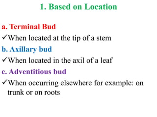 8. Plant growth and development and dormancy.pptx