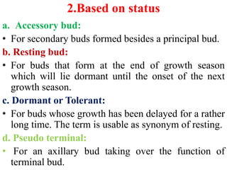 8. Plant growth and development and dormancy.pptx