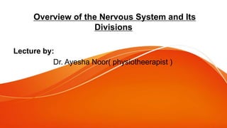 Overview of the Nervous System and Its
Divisions
Lecture by:
Dr. Ayesha Noor( physiotheerapist )
 