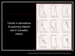 Declining Cod Graph 8.2 Decline of Atlantic Cod.A Case Study | PPT