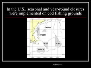 Noup Cod Closure 8.2 Decline of Atlantic Cod.A Case Study | PPT