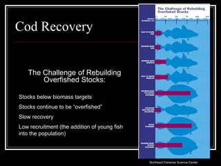 Declining Cod Graph 8.2 Decline of Atlantic Cod.A Case Study | PPT