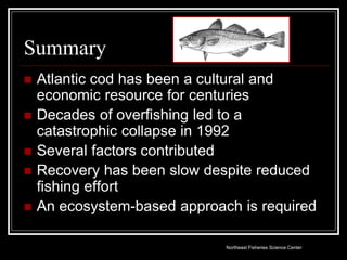 Cod Ecosystem 8.2 Decline of Atlantic Cod.A Case Study | PPT