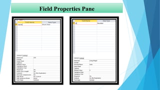 Field Properties Pane
 