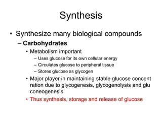 Synthesis
• Synthesize many biological compounds
– Carbohydrates
• Metabolism important
– Uses glucose for its own cellular energy
– Circulates glucose to peripheral tissue
– Stores glucose as glycogen
• Major player in maintaining stable glucose concent
ration due to glycogenesis, glycogenolysis and glu
coneogenesis
• Thus synthesis, storage and release of glucose
 