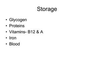 Storage
• Glycogen
• Proteins
• Vitamins- B12 & A
• Iron
• Blood
 