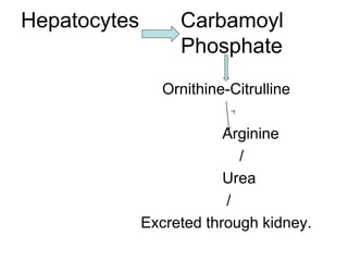 Ornithine-Citrulline
Arginine
/
Urea
/
Excreted through kidney.
Hepatocytes Carbamoyl
Phosphate
 