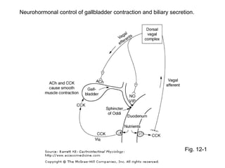 Neurohormonal control of gallbladder contraction and biliary secretion.
Fig. 12-1
 