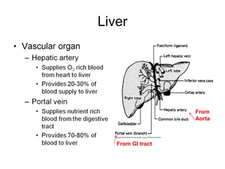 Liver
From
Aorta
From GI tract
 