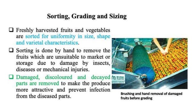 8. Packaging and packing house operations.pptx | Gardening | Home & Garden