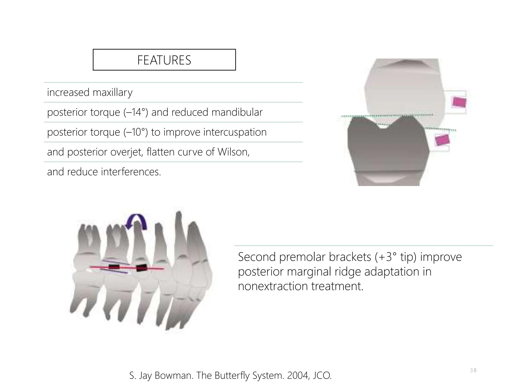TORQUE IN ORTHODONTICS (short PPT) basic | PPTX