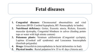 Neonatald diseases of farm and pet animals.pptx