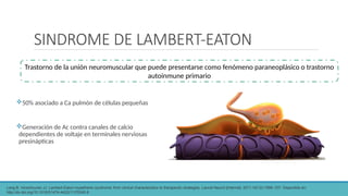 SINDROME DE LAMBERT-EATON
50% asociado a Ca pulmón de células pequeñas
Generación de Ac contra canales de calcio
dependientes de voltaje en terminales nerviosas
presinápticas
Trastorno de la unión neuromuscular que puede presentarse como fenómeno paraneoplásico o trastorno
autoinmune primario
Lang B, Verschuuren JJ. Lambert-Eaton myasthenic syndrome: from clinical characteristics to therapeutic strategies. Lancet Neurol [Internet]. 2011;10(12):1098–107. Disponible en:
http://dx.doi.org/10.1016/S1474-4422(11)70245-9
 