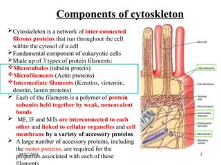 8. The cytoskeleton.pptx gyfyghipjiohguf | PPTX